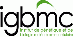 IGBMC_logo